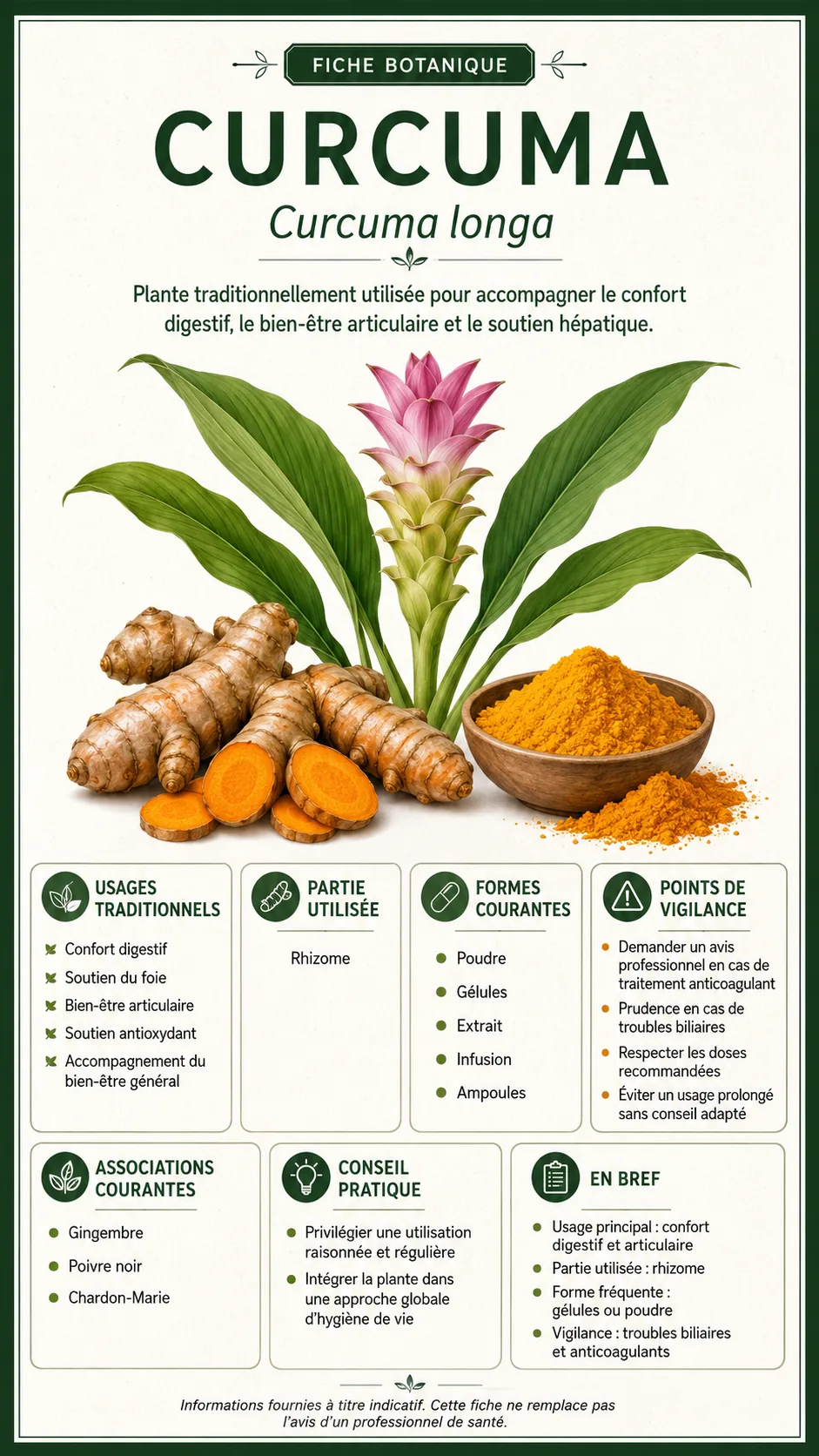 Curcuma