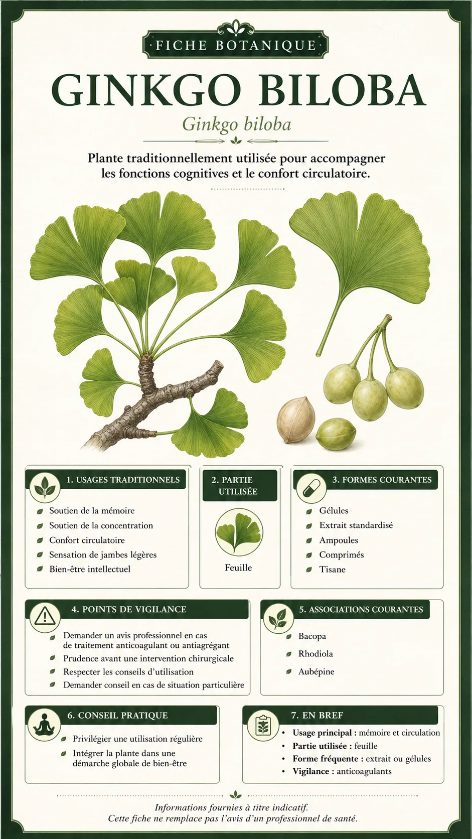 Ginkgo biloba